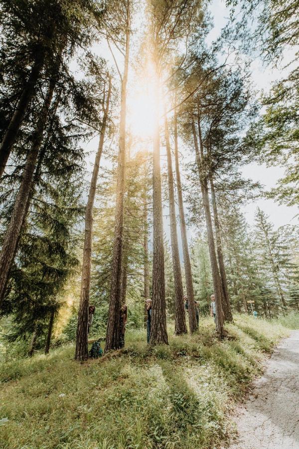 Der Loeffler Am Semmering Bed&Breakfast 外观 照片