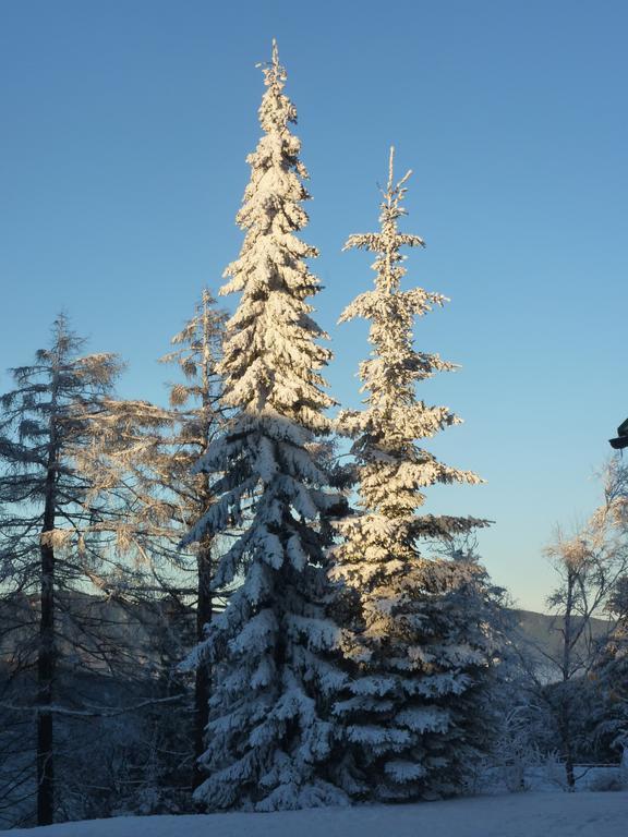 Der Loeffler Am Semmering Bed&Breakfast 外观 照片